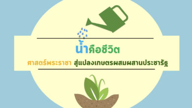 Photo of น้ำคือชีวิต