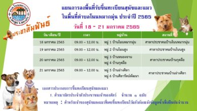 Photo of รับขึ้นทะเบียนสุนัขและแมว ประจำปี 2565