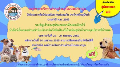 Photo of ประชาสัมพันธ์ อบต.โนนหมากมุ่น ขอเชิญเจ้าของสุนัขและแมวที่ลงทะเบียนไว้ นำสัตว์เลี้ยงของท่านเข้ารับบริการฉีดวัคซีนป้องกันโรคพิษสุนัขบ้า ณ จุดบริการที่กำหนด ระหว่างวันที่ 22 – 24 เมษายน 2569 ดังนี้ 1. วันที่ 22 เม.ย. 2569 เวลา 09.00 – 12.00 น. ณ ศาลาประชาคม หมู่ที่ 1 บ้านโนนหมากมุ่น 2. วันที่ 22 เม.ย. 2569 เวลา 13.00 – 16.00 น. ณ ศาลาประชาคม หมู่ที่ 2 บ้านโนนสูง 3. วันที่ 23 เม.ย. 2569 เวลา 09.00 – 12.00 น. ณ ศาลาประชาคม หมู่ที่ 3 บ้านหนองจาน 4. วันที่ 23 เม.ย. 2569 เวลา 13.00 – 16.00 น. ณ ศาลาประชาคม หมู่ที่ 4 บ้านกุดผือ 5. วันที่ 24 เม.ย. 2569 เวลา 09.00 – 16.00 น. ณ ศาลาประชาคม หมู่ที่ 5 บ้านอ่างศิลา